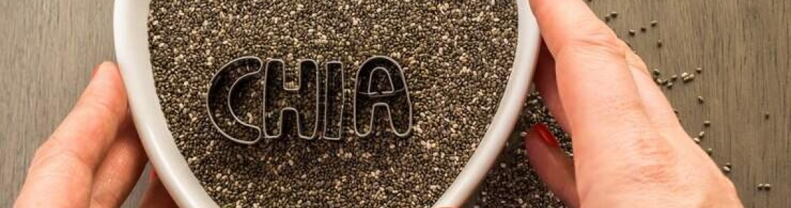 5 Enticing Chia Seeds Benefits for Human Health