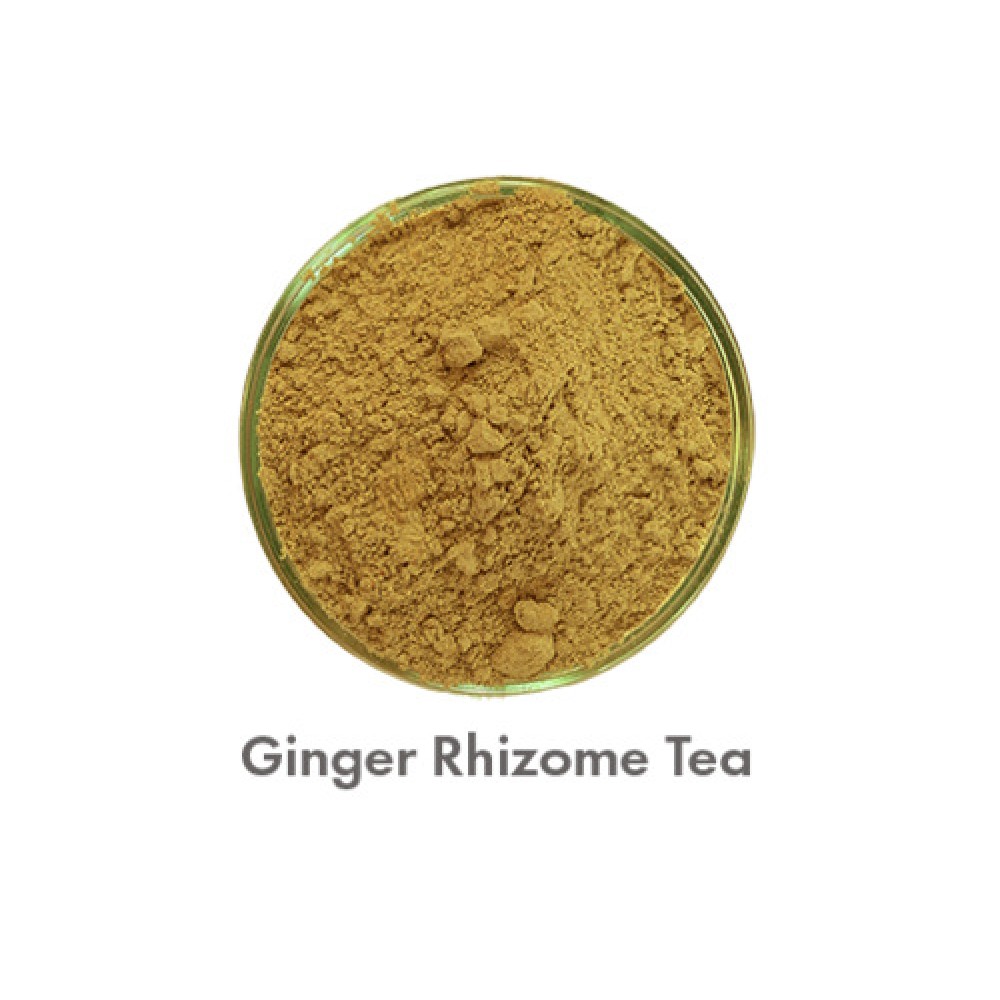 Aquasol Ginger Rhizomes Tea