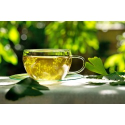 Aquasol Ginkgo Leaf Tea