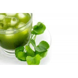 Aquasol Gotu Kola Tea (20gms)