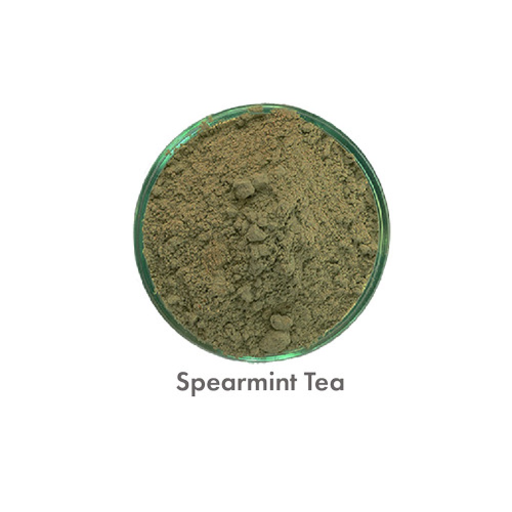 Aquasol Spearmint Tea