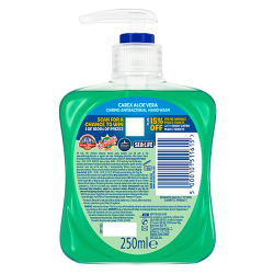 Carex Aloe Vera Antibacterial Hand Wash 250ml