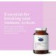 BioCare Vitamin C Rosehip Complex Powder BioCare Vitamin C Rosehip Complex Powder